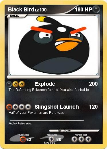 Pokemon Black Bird