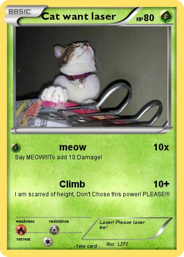 Pokemon Cat want laser