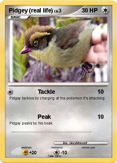 Pokemon Pidgey (real life)