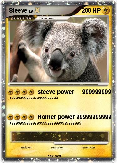 Pokemon Steeve