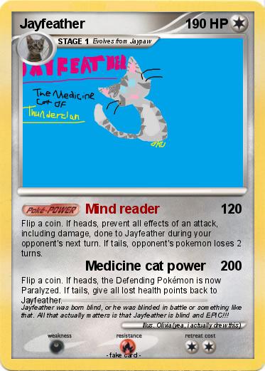 Pokemon Jayfeather