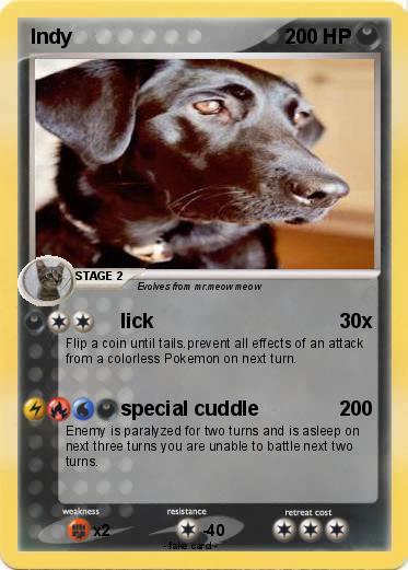 Pokemon Indy