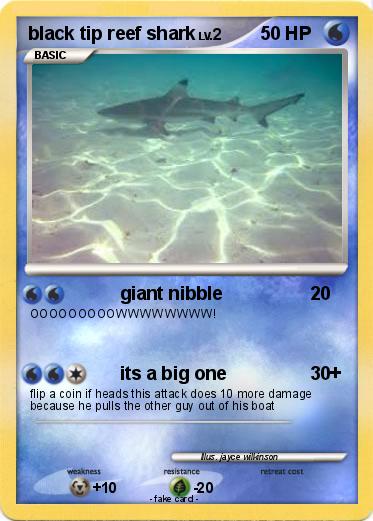 Pokemon black tip reef shark
