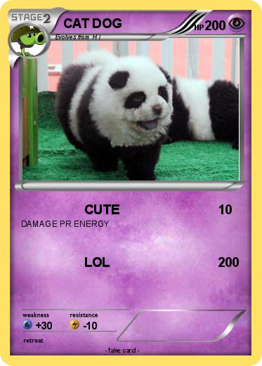 Pokemon CAT DOG