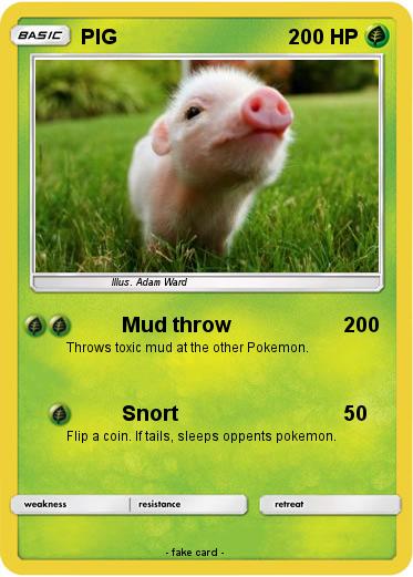 Pokemon PIG
