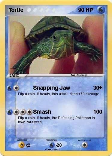 Pokemon Tortle