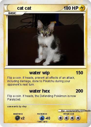 Pokemon cat cat
