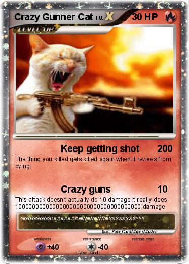 Pokemon Crazy Gunner Cat