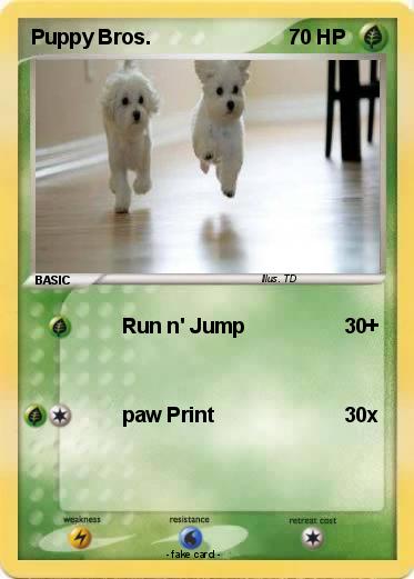 Pokemon Puppy Bros.