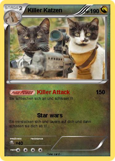 Pokemon Killer Katzen