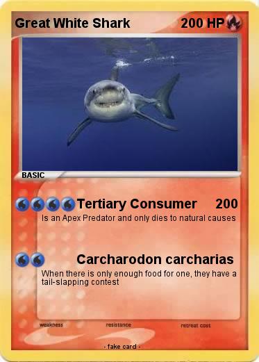 Pokemon Great White Shark