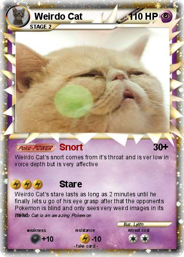 Pokemon Weirdo Cat