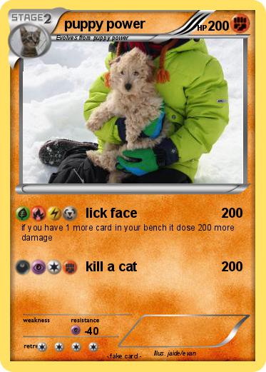 Pokemon puppy power