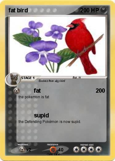 Pokemon fat bird
