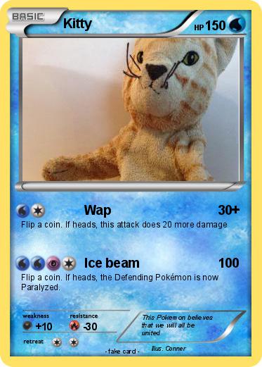 Pokemon Kitty