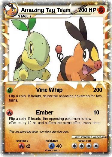 Pokemon Amazing Tag Team