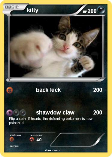 Pokemon kitty