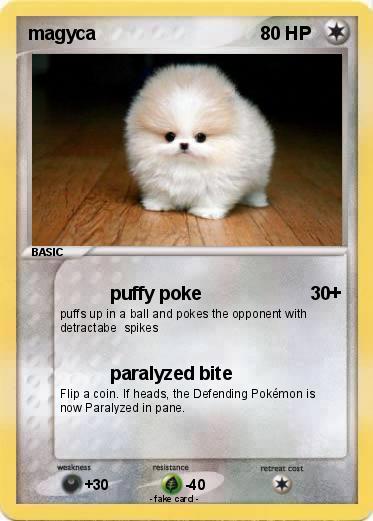 Pokemon magyca
