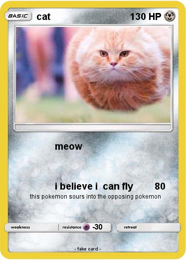 Pokemon cat