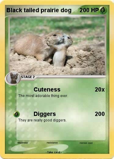 Pokemon Black tailed prairie dog