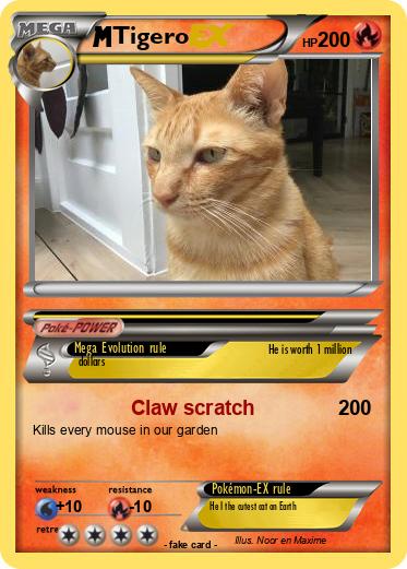 Pokemon Tigero
