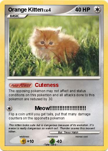 Pokemon Orange Kitten