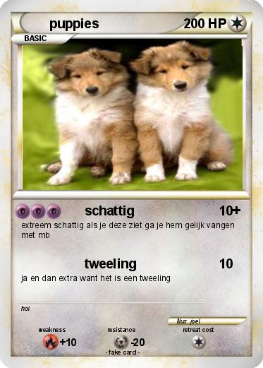 Pokemon puppies