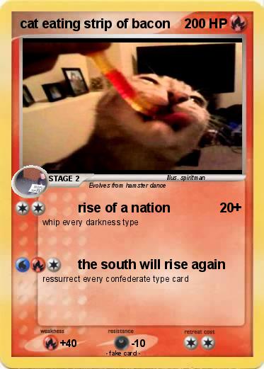Pokemon cat eating strip of bacon