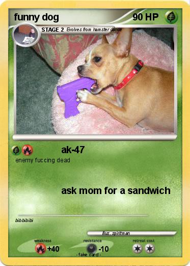 Pokemon funny dog