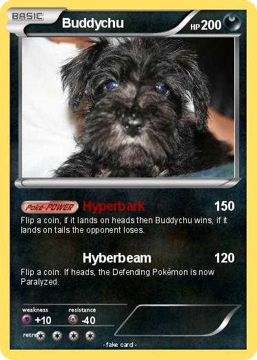 Pokemon Buddychu
