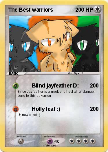 Pokemon The Best warriors