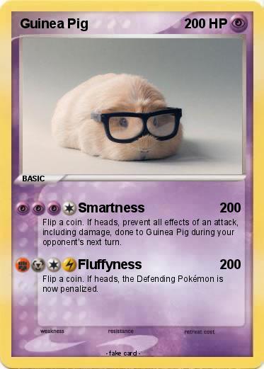 Pokemon Guinea Pig