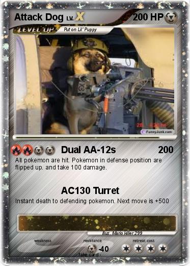 Pokemon Attack Dog
