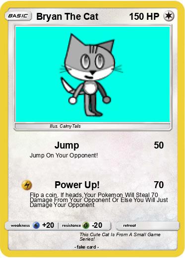 Pokemon Bryan The Cat