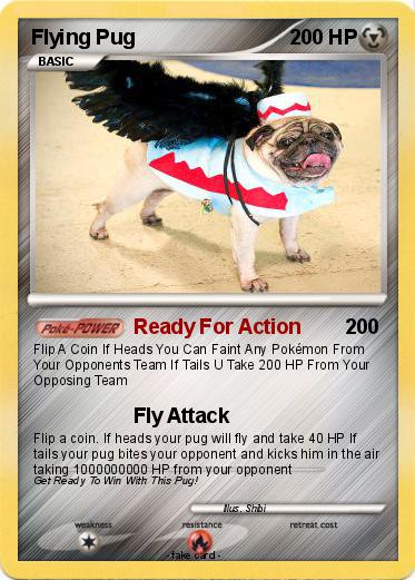 Pokemon Flying Pug