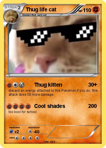 Pokemon Thug life cat