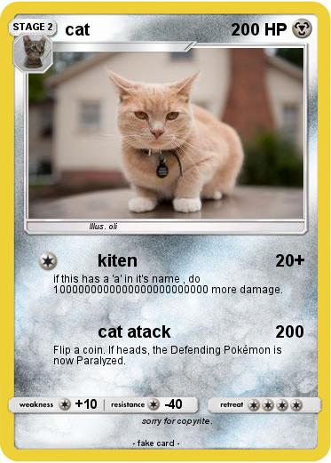 Pokemon cat