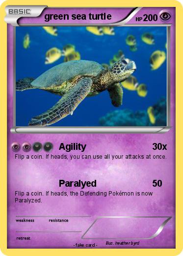 Pokemon green sea turtle