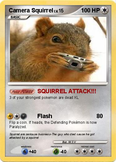 Pokemon Camera Squirrel