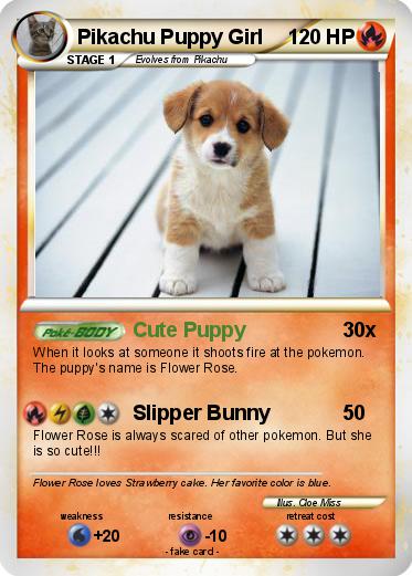 Pokemon Pikachu Puppy Girl