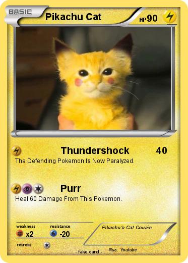 Pokemon Pikachu Cat