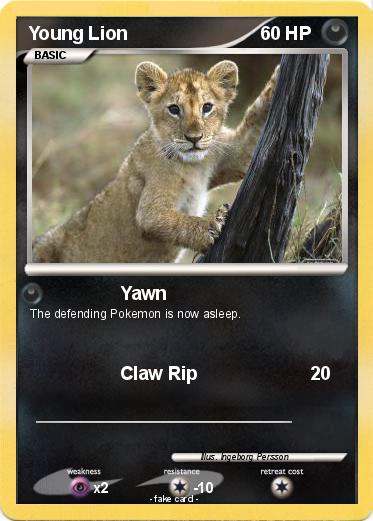 Pokemon Young Lion