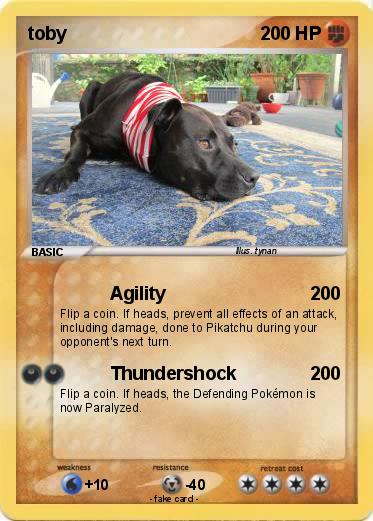 Pokemon toby