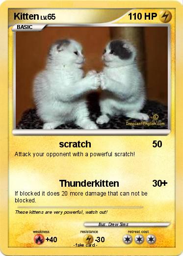 Pokemon Kitten