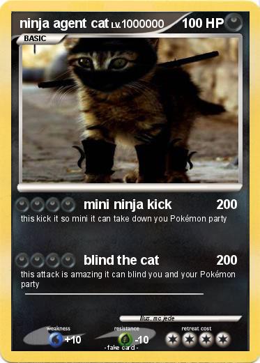 Pokemon ninja agent cat