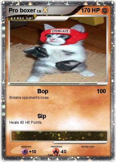 Pokemon Pro boxer