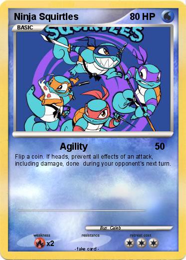 Pokemon Ninja Squirtles