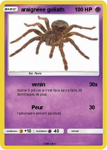 Pokemon araignéee goliath