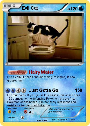 Pokemon Evil Cat