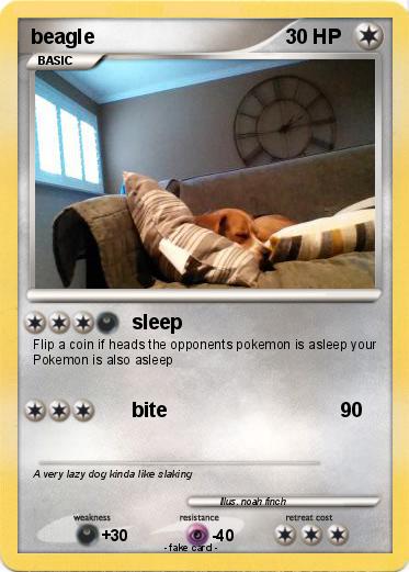 Pokemon beagle